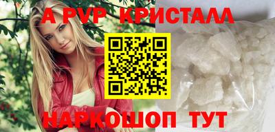 jwh Кингисепп