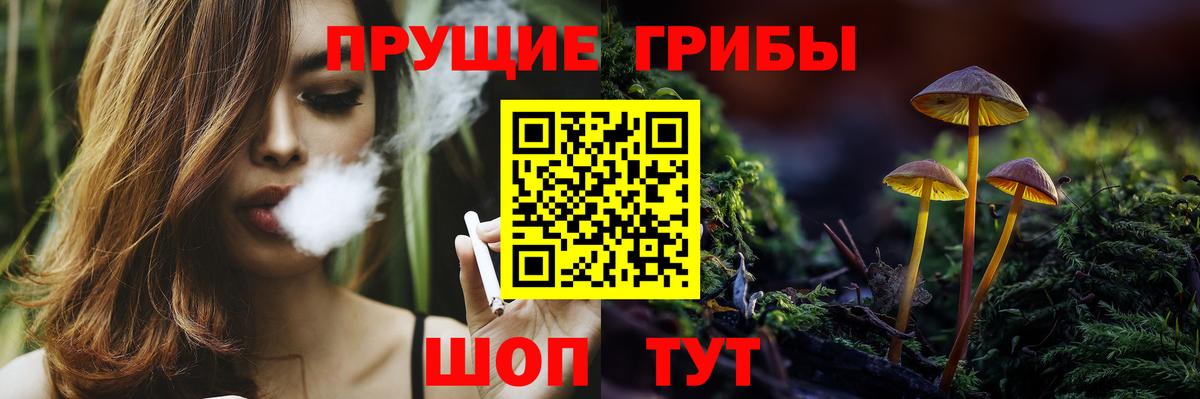 купить закладку  Псилоцибиновые грибы GOLDEN TEACHER  Ипатово  Вход с VPN  Галлюциногенные грибы Psilocybine cubensis 
