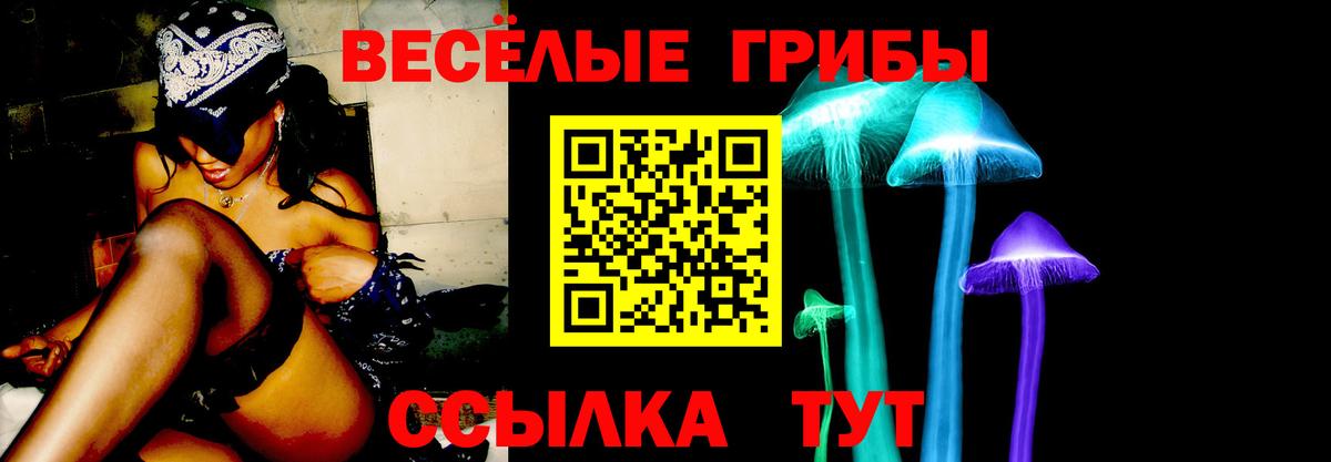 Галлюциногенные грибы Psilocybe Ипатово